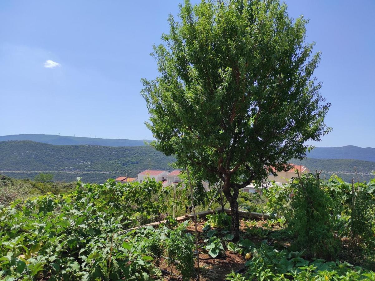 One Bedroom Apartment Gogo With Private Parking Neum Exteriör bild